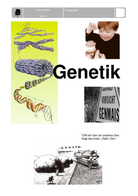 Mit Humor die Genetik verstehen Masterarbeit - Sekundarstufe I