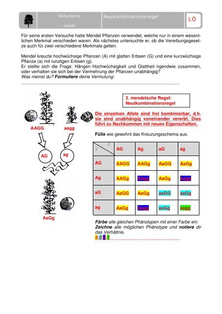 Mit Humor die Genetik verstehen Masterarbeit - Sekundarstufe I