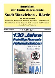 Stadt Wanzleben - Börde