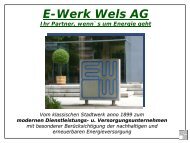 Das Unternehmen E-Werk Wels AG