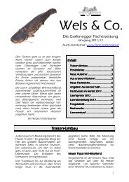 Wels & Co. 2011/12 (0.5MB) - Schloss Grafenegg