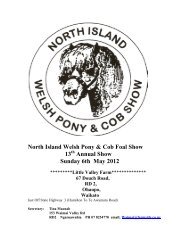 North Island Welsh Pony & Cob Foal Show 13 Annual ... - Wep.co.nz
