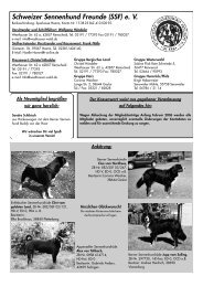 Sennenhunde 4/05 - SSF eV