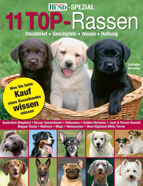 können Sie sich unser Booklet "11 Top - Partner Hund