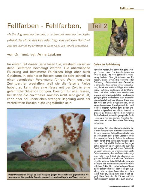 Fellfarben - Fehlfarben, - Schweizer Hunde Magazin