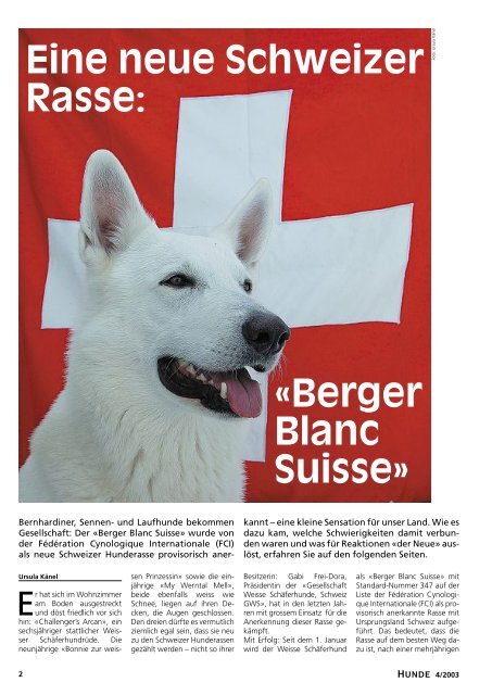 Weisser Schäferhund