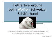 Fellfarbvererbung beim Weißen Schweizer Schäferhund - BVWS ...