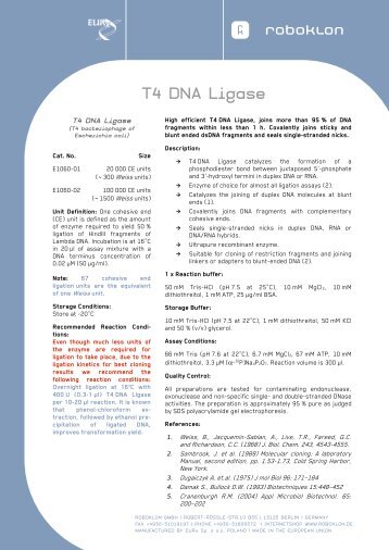 T4 DNA Ligase - roboklon
