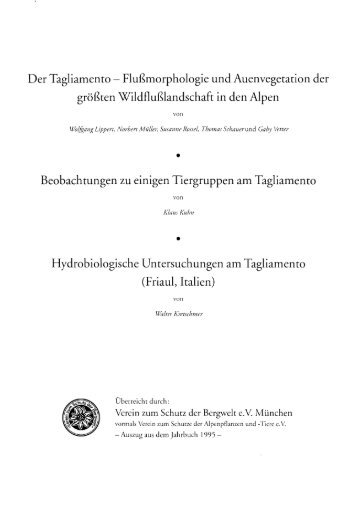 Der Tagliamento - Flußmorphologie und Auenvegetation der ...