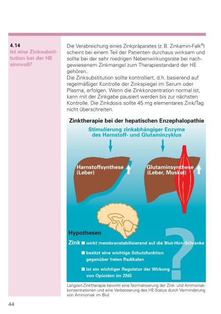 Hepatische Enzephalopathie - Dr. Falk Pharma GmbH