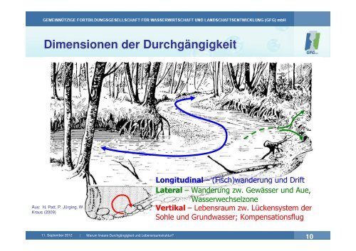 Vortrag 1 Warum müssen Fließgewässer durchgängig sein?