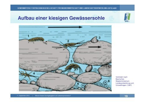 Vortrag 1 Warum müssen Fließgewässer durchgängig sein?