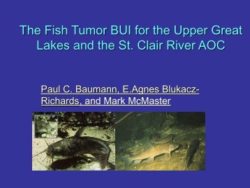 3-Fish Tumours and Deformities - Friends of the St. Clair River