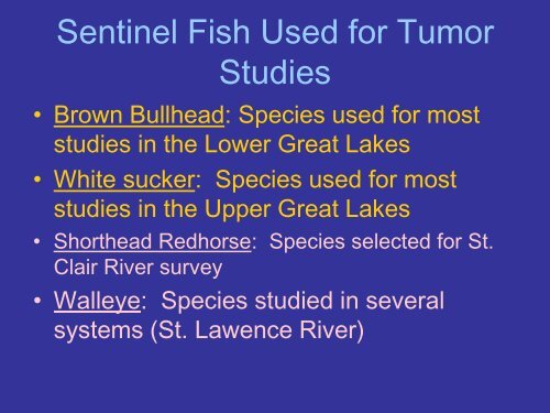 3-Fish Tumours and Deformities - Friends of the St. Clair River