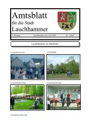 Amtsblatt 02/2005 - Stadt Lauchhammer