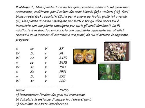 Help es V e IV Genetica Laura 2012 - web matic