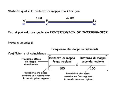 Help es V e IV Genetica Laura 2012 - web matic