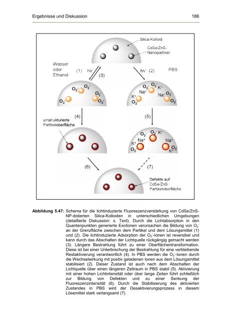 Dokument 1.pdf (10.328 KB) - OPUS - Universität Würzburg