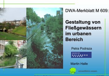 Gestaltung von Fließgewässern im urbanen Bereich, P. Podraza