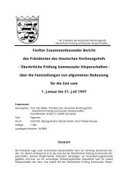 Fünfter Zusammenfassender Bericht 1997 - Hessischer Rechnungshof