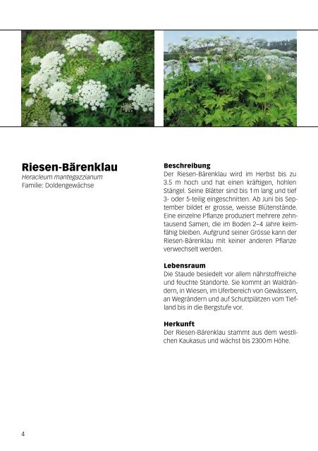 Invasive Pflanzen und Tiere - Uniaktuell - Universität Bern