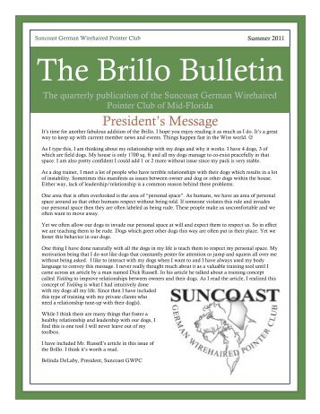 The Brillo Bulletin - Suncoast GWP Club