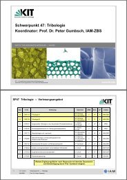 Schwerpunkt 47: Tribologie Koordinator: Prof. Dr. Peter ... - KIT