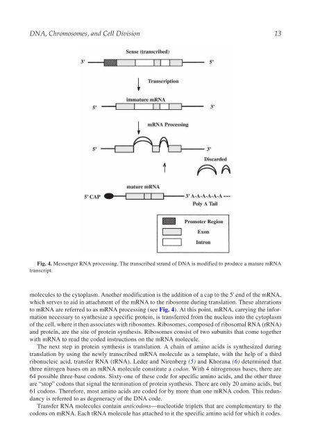 The Principles of Clinical Cytogenetics - Extra Materials - Springer