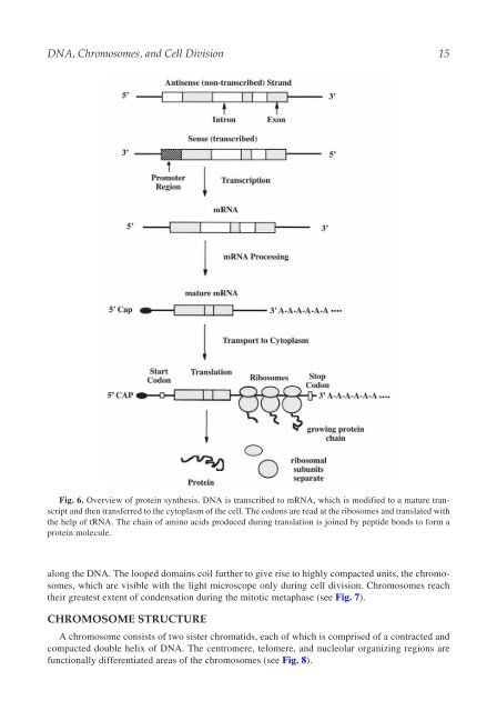 The Principles of Clinical Cytogenetics - Extra Materials - Springer