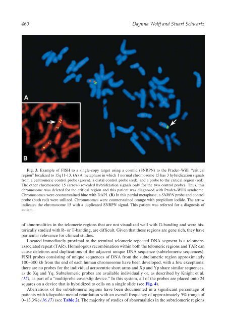 The Principles of Clinical Cytogenetics - Extra Materials - Springer