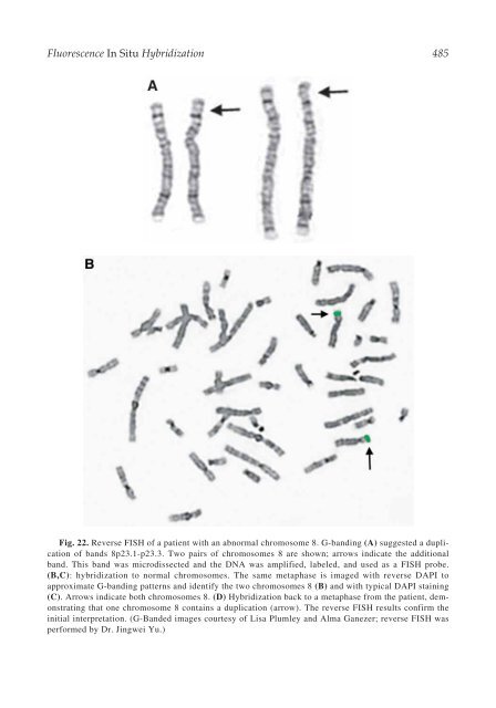 The Principles of Clinical Cytogenetics - Extra Materials - Springer