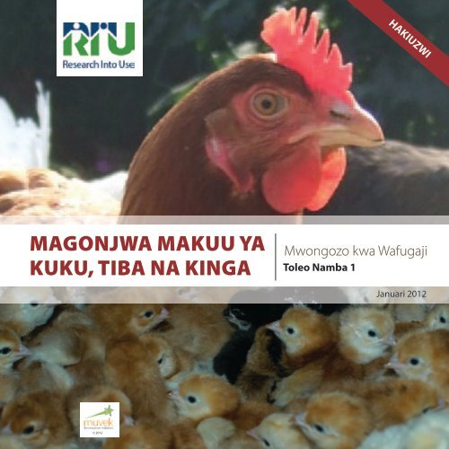 MAGONJWA MAKUU YA KUKU, TIBA NA KINGA - Research Into Use