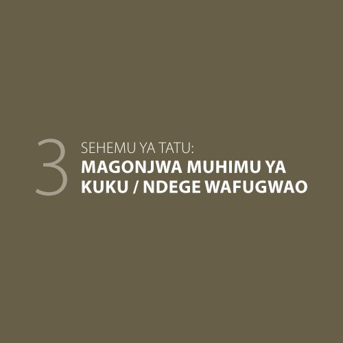 MAGONJWA MAKUU YA KUKU, TIBA NA KINGA - Research Into Use