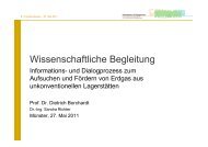 Prof. Dr. Dietrich Borchardt - Fracking, Erdgassuche in Deutschland