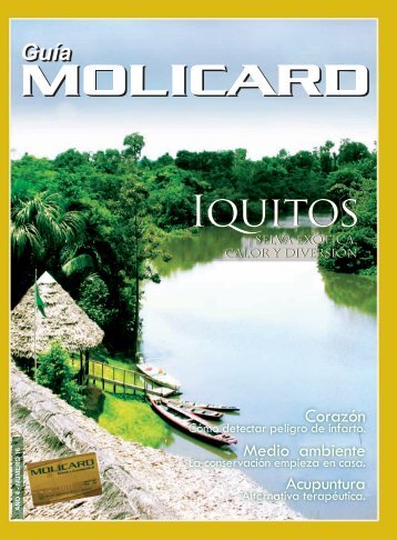 Iquitos - Municipalidad de la Molina
