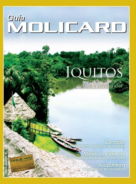 Iquitos - Municipalidad de la Molina