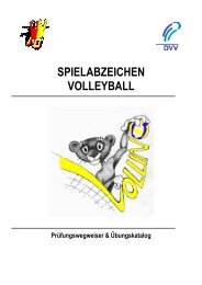 SPIELABZEICHEN VOLLEYBALL - NVV