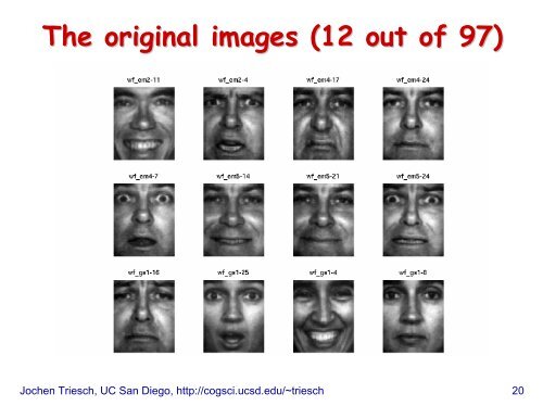 Principal Component Analysis (PCA)