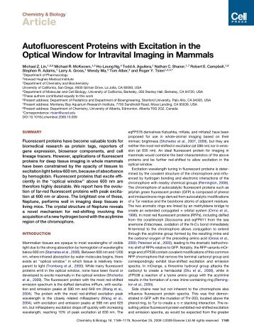 Autofluorescent Proteins with Excitation in the Optical ... - Tsien