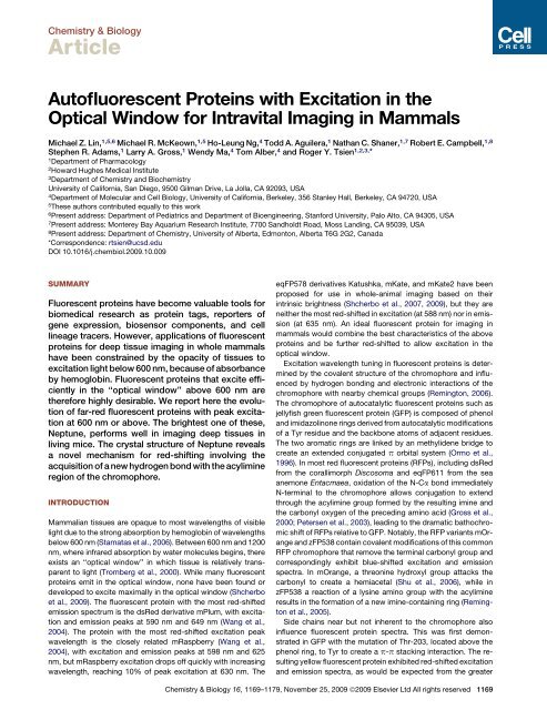 Autofluorescent Proteins with Excitation in the Optical ... - Tsien