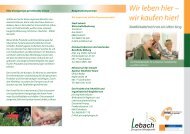 Eine einzigartige gemeinsame Vision ... - Stadt Lebach