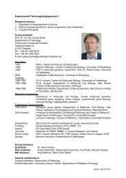 Curriculum Vitae - Universitäts KrebsCentrum Dresden - Technische ...