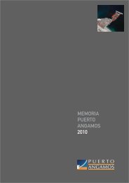 Memoria Anual 2010 - Puerto Angamos