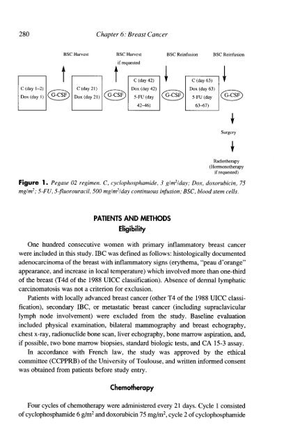 autologous blood and marrow transplantation - Blog Science ...