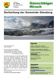 Ausgabe - Günsberg
