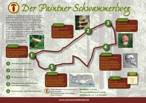 Der Paintner Schwammerlweg - Tourismusverband im Landkreis ...