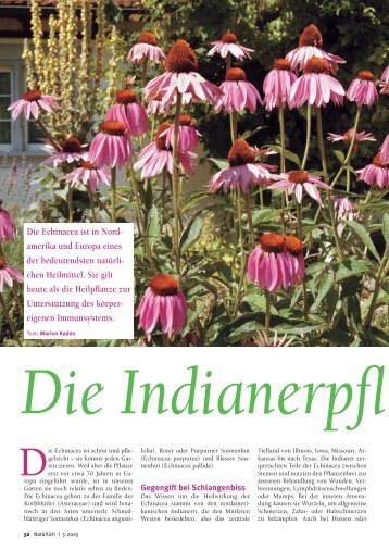 52-55 Echinacea - Natürlich