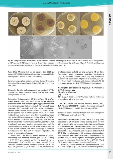 complete issue - IMA Fungus
