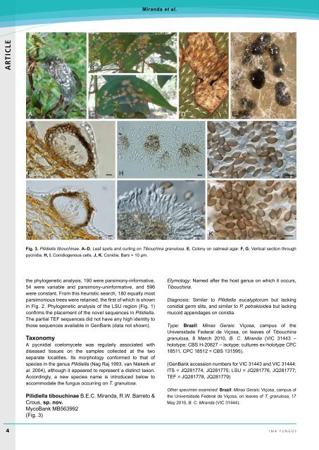 complete issue - IMA Fungus