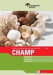 Champ_2011_1 - Champignon Suisse